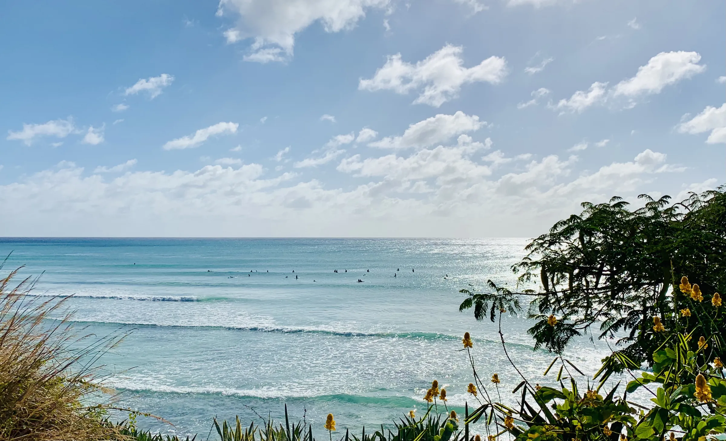 Lines of surf rolling into Freights Bay, with surfers waiting in the sun