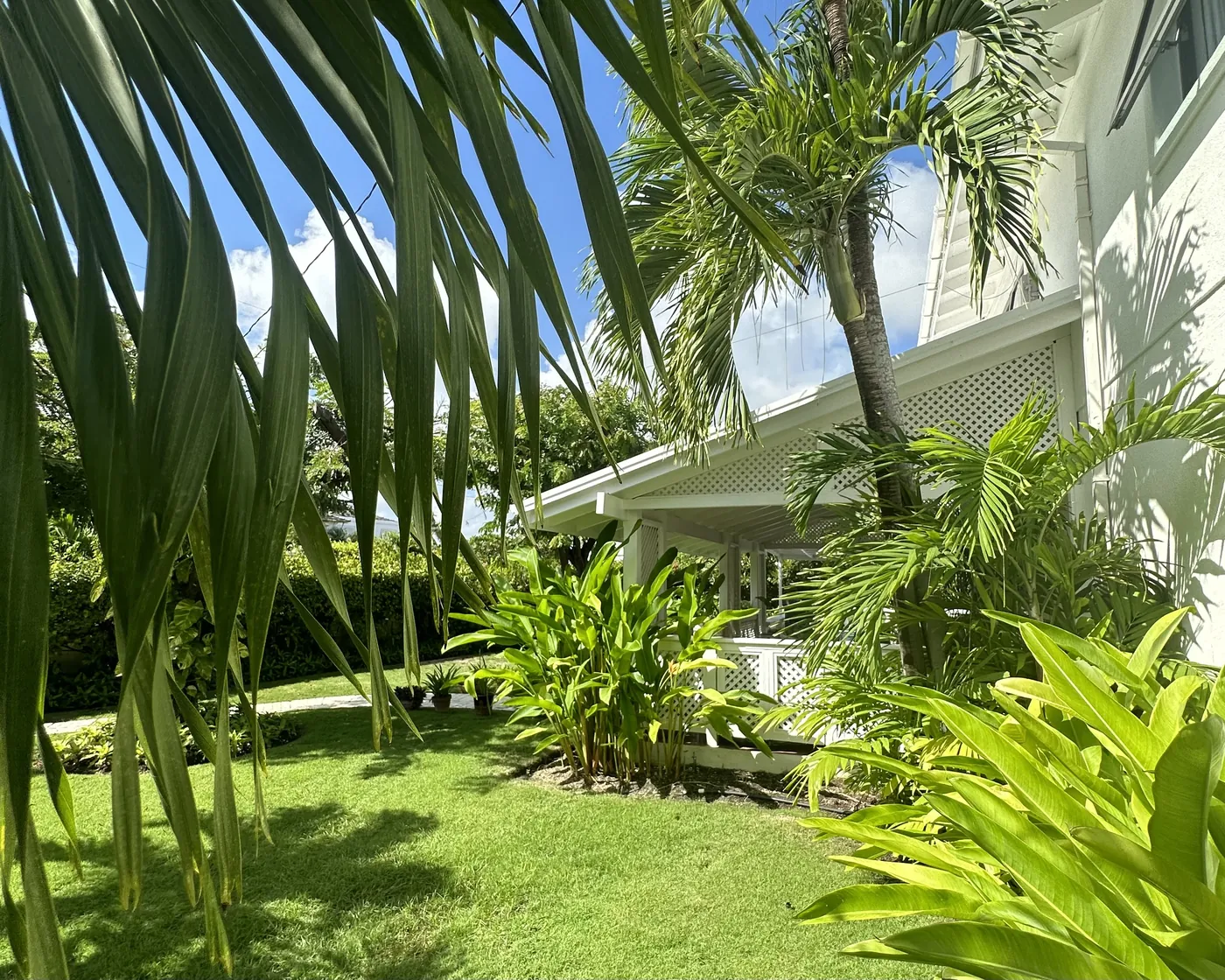 The garden with palms and tropical plants, the lattice porch behind