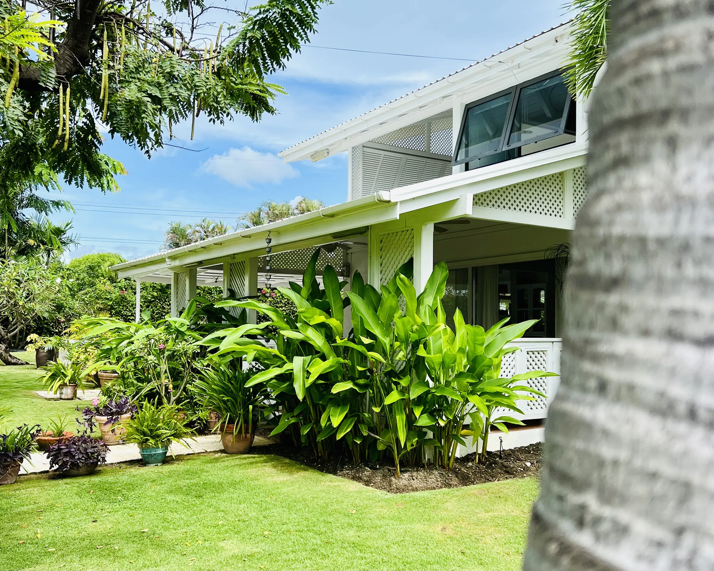 Sundance seen from the garden: the white house with its lattice porch and lush tropical plants